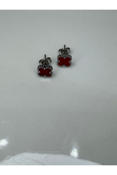 CT STONES Steel Earrings