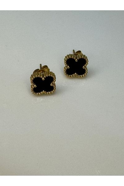 CT STONES Steel Earrings