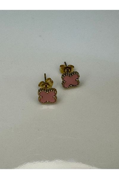 CT STONES Steel Earrings