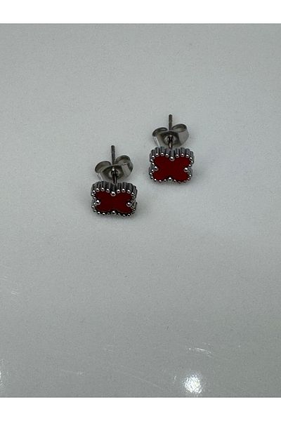 CT STONES Steel Earrings