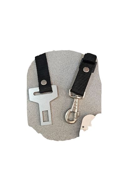 KediEviNet Dog Safety Belt Buckle Walking Collar 2.5× 80cm