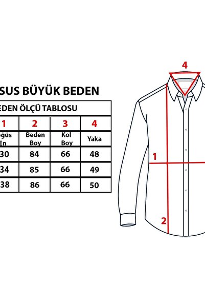 TOUSUS Чоловіча сорочка великого розміру з фіолетовими смужками Btl-6113-tss