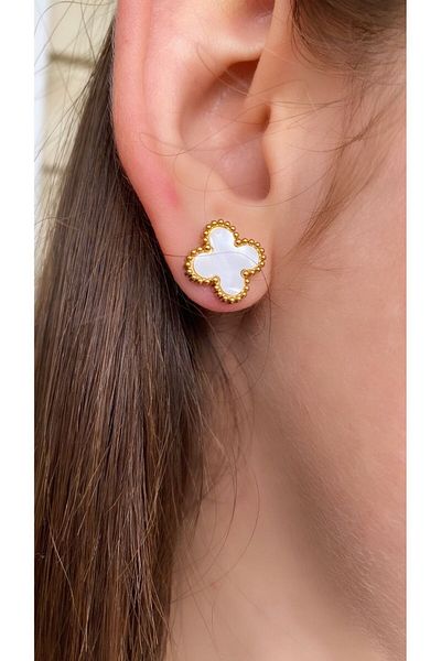 Home Model Pearlescent Steel Earrings