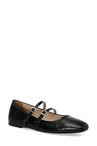 Butigo 24K-1008 4Pr Black Women's Ballerinas
