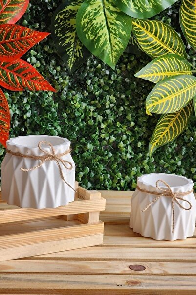 SERENGETİ CONSEPT Dekoratif Saksı Seti 2'li,kaktüs Sukulent Ve Küçük Çiçekler Için Beton Saksı