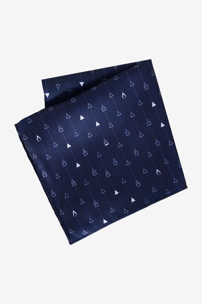 ALTINYILDIZ CLASSICS Чоловіча хустинка з синьо-білим візерунком