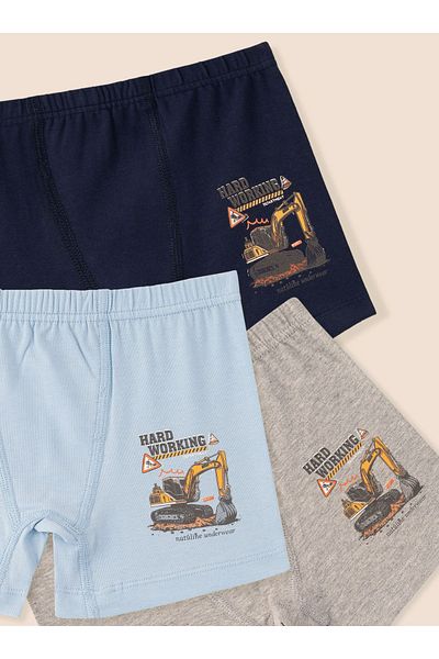 natuline Boy's Organic Cotton Lycra Boxer 3-Piece Hard Working 3507-3