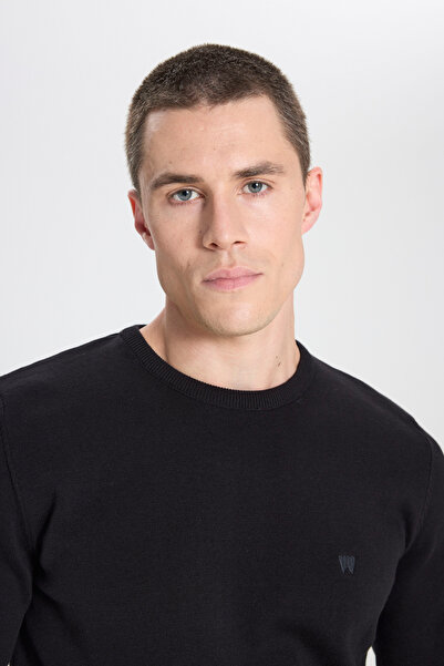 WRANGLER Crew NeckRegularFit Knitwear