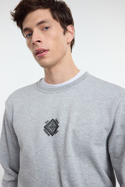 Trendyol Collection Šedá melanž Regular/Normal Střih Načechraný fleece s potiskem uvnitř/teplá mikina Tmnaw25Sw00032
