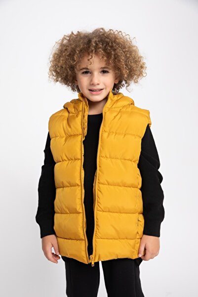 DeFacto Boys' Water Repellent Hooded Basic Plain Inflatable Vest A1765A823Au