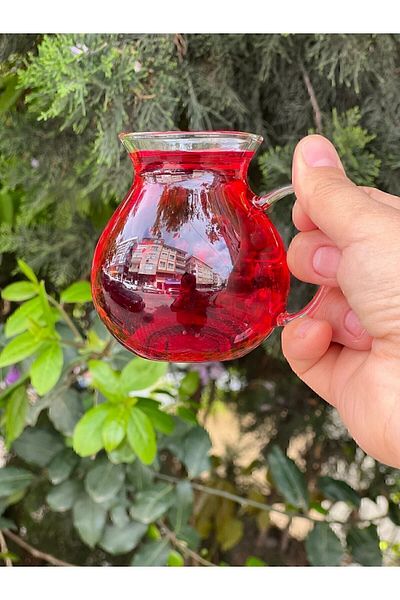 EVDEKOR Set of 6 Enjoyable Glass Tea Cups 200ml
