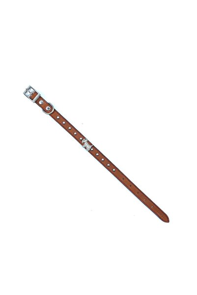 LİNO TASMA طوق لينو براون للكلاب - جلد 100%، لمسة نهائية من النيكل، مع شارة Bw06