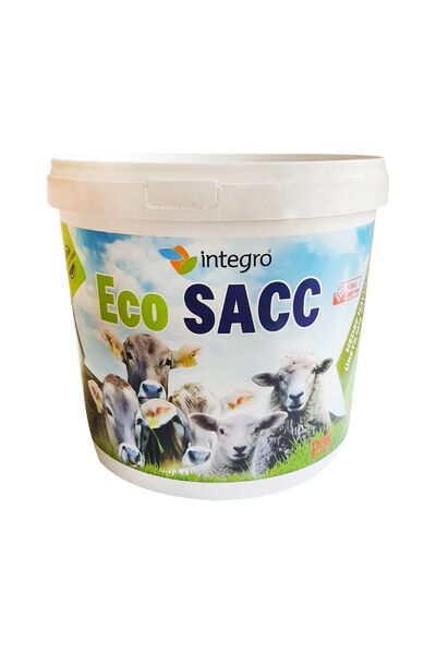 İntegro ECOSACC CANLI MAYA 10 KG