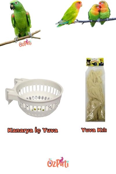 budgieshop Kanarya Yuvalık Ve Yuva Ipi