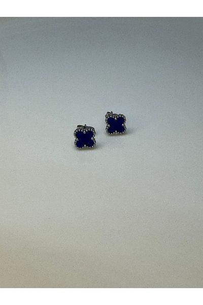 CT STONES Steel Earrings