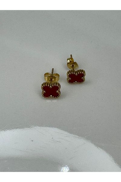 CT STONES Steel Earrings