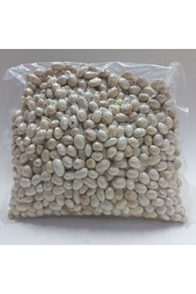 BULUT YÖRESEL Ispir Şeker Fasulye 500gr