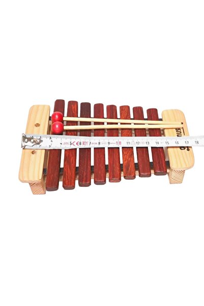 Donizetti Cepsilofon (DCS8) – Taşınabilir ve Eğitici Mini Ksilofon- Kselofon ...