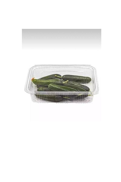 ANIL AMBALAJ 1000 Gr Cc 25 Plastic Leak Proof Containers