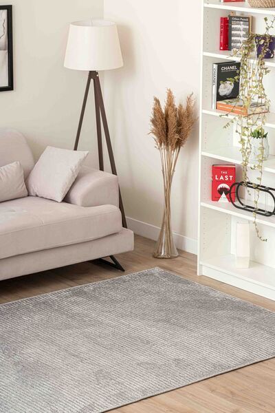 Lorente Home Opal Viscose Gray Plush Doorway Carpet - Washable Non-Slip Base, Carpet with Towel 1650