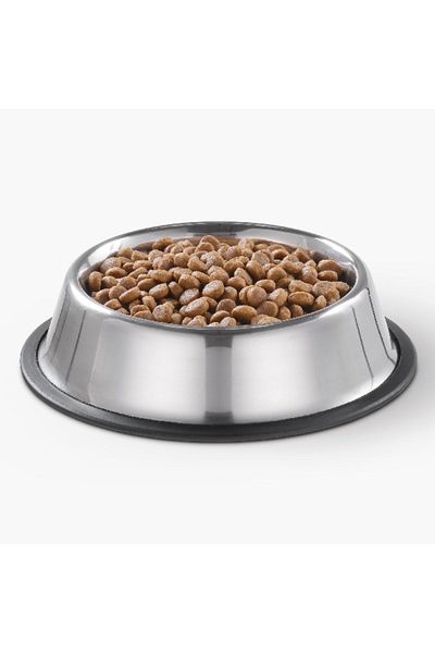 Home Box Canine Stainless Steel Pet Bowl - 2.5 L