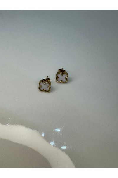 CT STONES Steel Earrings