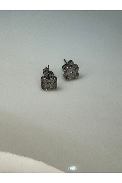 CT STONES Steel Earrings