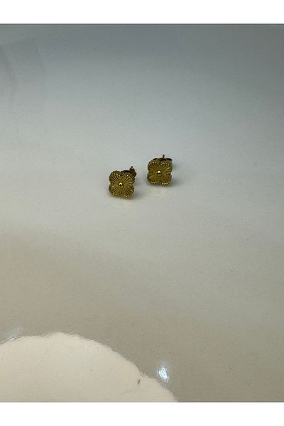 CT STONES Steel Earrings