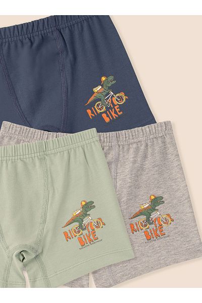 natuline Boy's Organic Cotton Lycra Boxer 6-Piece Dinosaur 3510-6