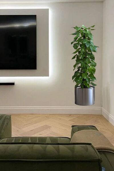 ThenTech 90x30cm Duvar Süsleme Stickeri Ağaç Şeklinde Duvar Stickeri Dekorati...