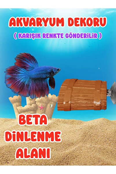 Akvaryum Beta Dinlenme Alanı / Akvaryum Dekoru / Akvaryum Süsü / Küçük Akvary...