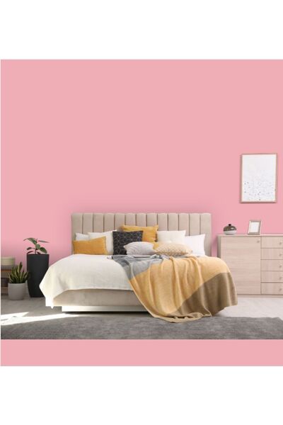 Filli Boya Momento Max Tam Silinebilir Ve Yıkanabilir Silikonlu Iç Cephe Boyası