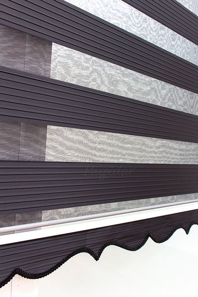 Payidar Zebra Roller Blind Pleated Black Skirt Sectional Blind