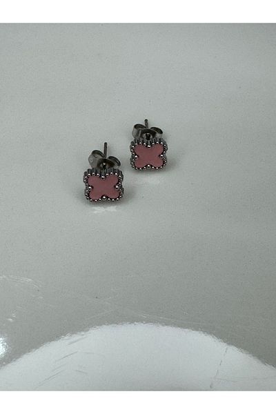 CT STONES Steel Earrings