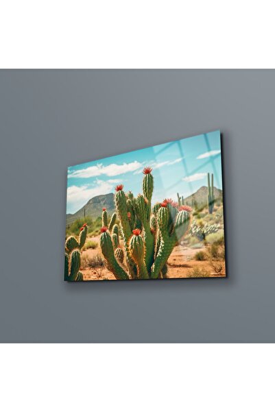 BV DEKOR Διακόσμηση τοίχου με σχέδιο κάκτου, Μοντέρνα γυάλινη εκτύπωση, Εκτύπ...