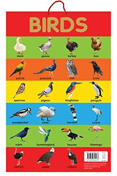 Prakash Books ملصقات تعليمية عن الطيور للأطفال في مرحلة الطفولة المبكرة مثالية لمرحلة رياض الأطفال والحضانة والمنازل