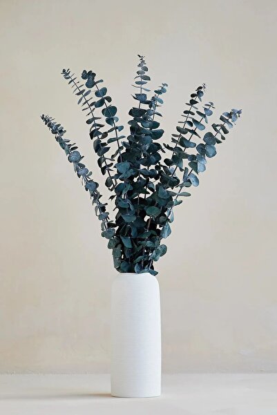 Dekora Çiçek Şoklanmış Okaliptüs Demeti - 5 Dal