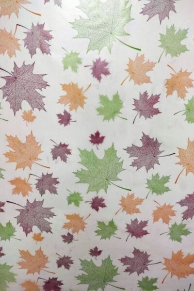 Pi Papers Yaprak Desenli Cam Kaplama - Elektrostatik Elektriklenme Ile Yapışkansız Tutunan Statik Akıllı Kağıt