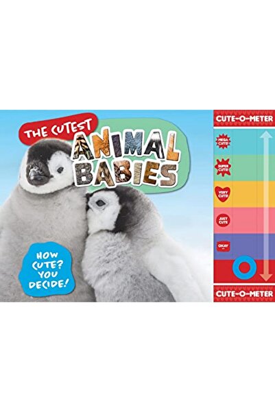 Hachette أجمل صغار الحيوانات كيف تقرر أن تكون لطيفًا