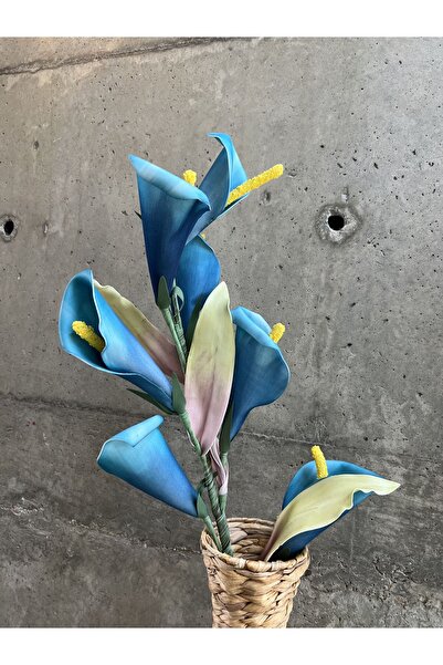 LAMEDORE Mavi Barış Çiçeği