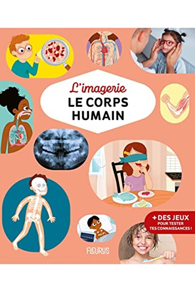 MDS Limagerie Le Corps Humain