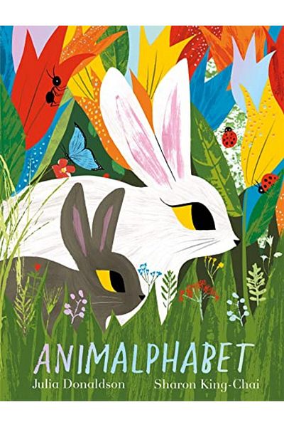 Macmillan Distribution Animalphabet