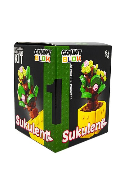 Gokidy سلسلة كتل عصارية - 1