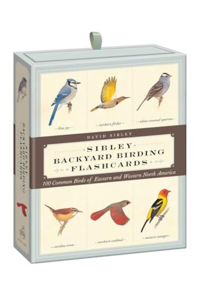 Penguin Random House بطاقات تعليمية عن الطيور في الفناء الخلفي من سيبيلي 100 طائر شائع في شرق وغرب أمريكا الشمالية