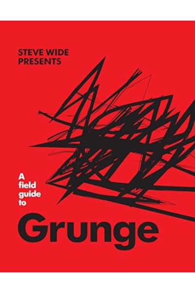 Hachette دليل ميداني لموسيقى الجرونج