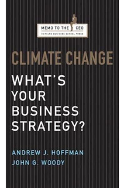 Ingram Climate Change Whats Your Business Strategy Memo To The Ceo