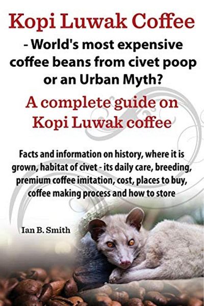 Ingram Kopi Luwak Coffee Worlds Most Expensive Coffee Beans From Civet Poop Or An Urban Myth