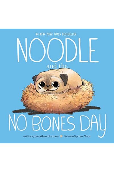 Simon Schuster Noodle And The No Bones Day