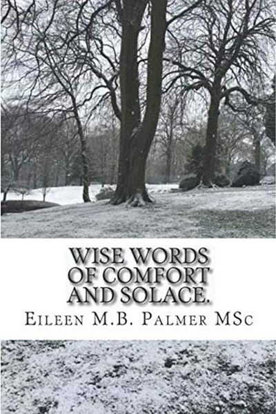 Ingram Wise Words Of Comfort And Solace Transformational Guided Imagery To Help And Heal
