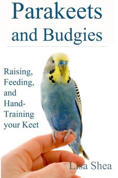 Ingram Parakeets And Budgies Raising Feeding And Handtraining Your Keet